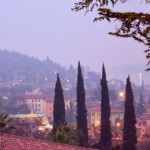 Кипарисы, туман, крыши домов