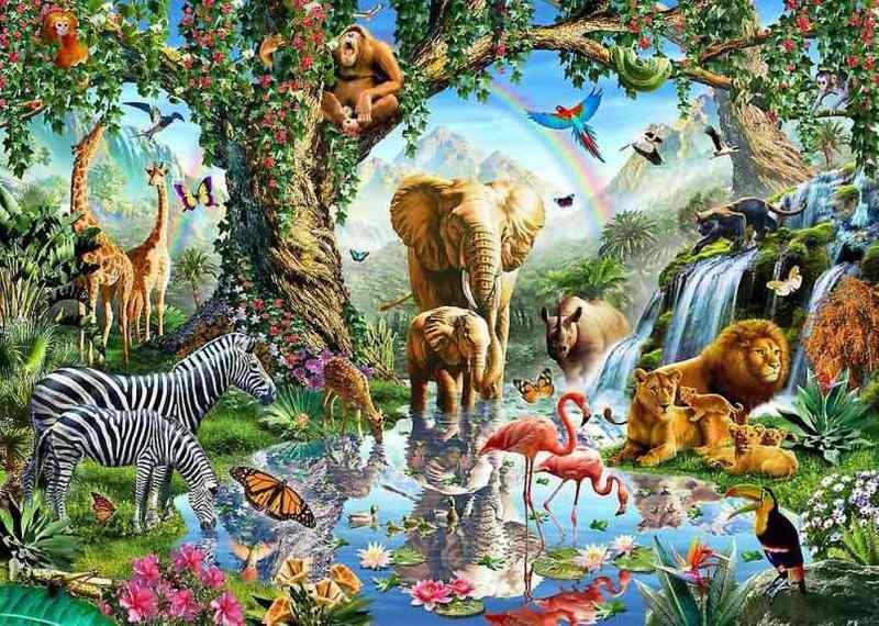 Рай для животных