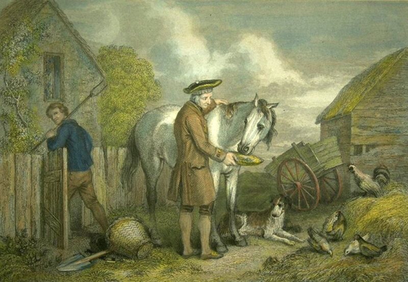 Старый фермер с лошадью