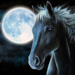конь ночь луна