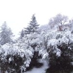 Снег в Италии
